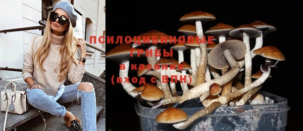 a pvp Касимов