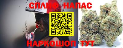 молекула духа Донской