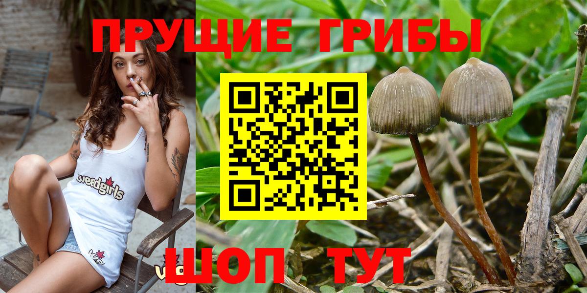 Галлюциногенные грибы Cubensis  Вход с VPN  Жуковский 