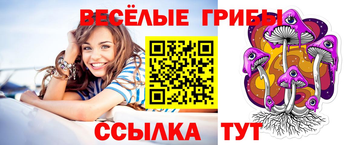 Псилоцибиновые грибы Cubensis Жуковский