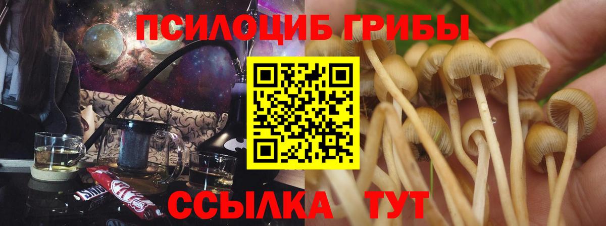 Купить закладку  Жуковский  Вход с VPN  COCAIN  А ПВП СОЛЬ кристаллы  МЕФ   ГАШ 